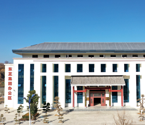 东正化工集团